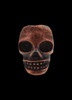 Stotesbury Skull Small Copper