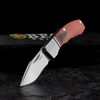 Begg Mini Hunter Clip Point Folding Knife