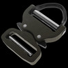AustriAlpin 45mm Buckle with D-ring