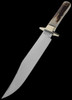John Nowill Stag Bowie 8" Fixed Blade