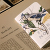 Field Notes Birds & Trees of North America Series A