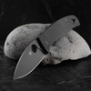 Spyderco Bodacious Black Folding Knife