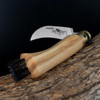 Antonini Old Bear Olive Mushroom Folding Knife Medium