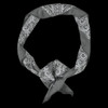 PDW Paisley Mythosaur Bandana