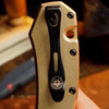 Giant Mouse PVD Titanium Deep Carry Clip