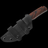 Petrified Fish Beluga Fixed Blade