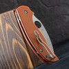 Spyderco Sage 6 CPM REX 121 Folding Knife