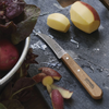 Opinel No. 114 Vegetable Knife
