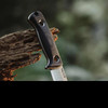 Olive Arbor Fixed Blade Black