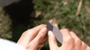 CW&T Herring Utility Knife