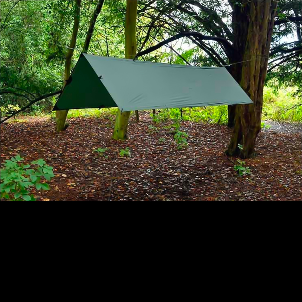 Backpacking Tarp Olive Green 460g DD Hammocks SuperLight Tarp