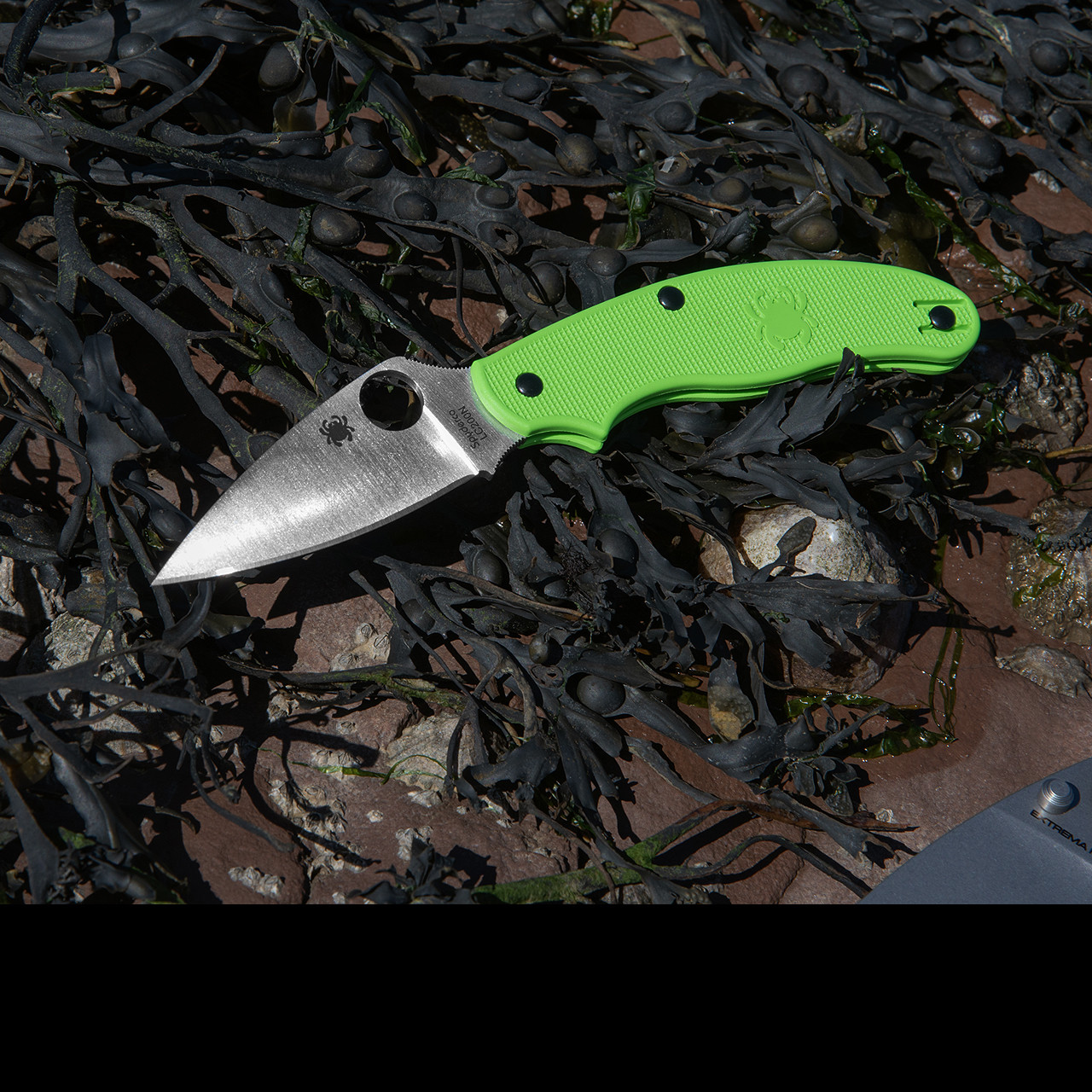 Spyderco Salt Ⅰ　C88PBK フォールディングナイフ Spyderco UK Penknife Salt Green Folding Knife