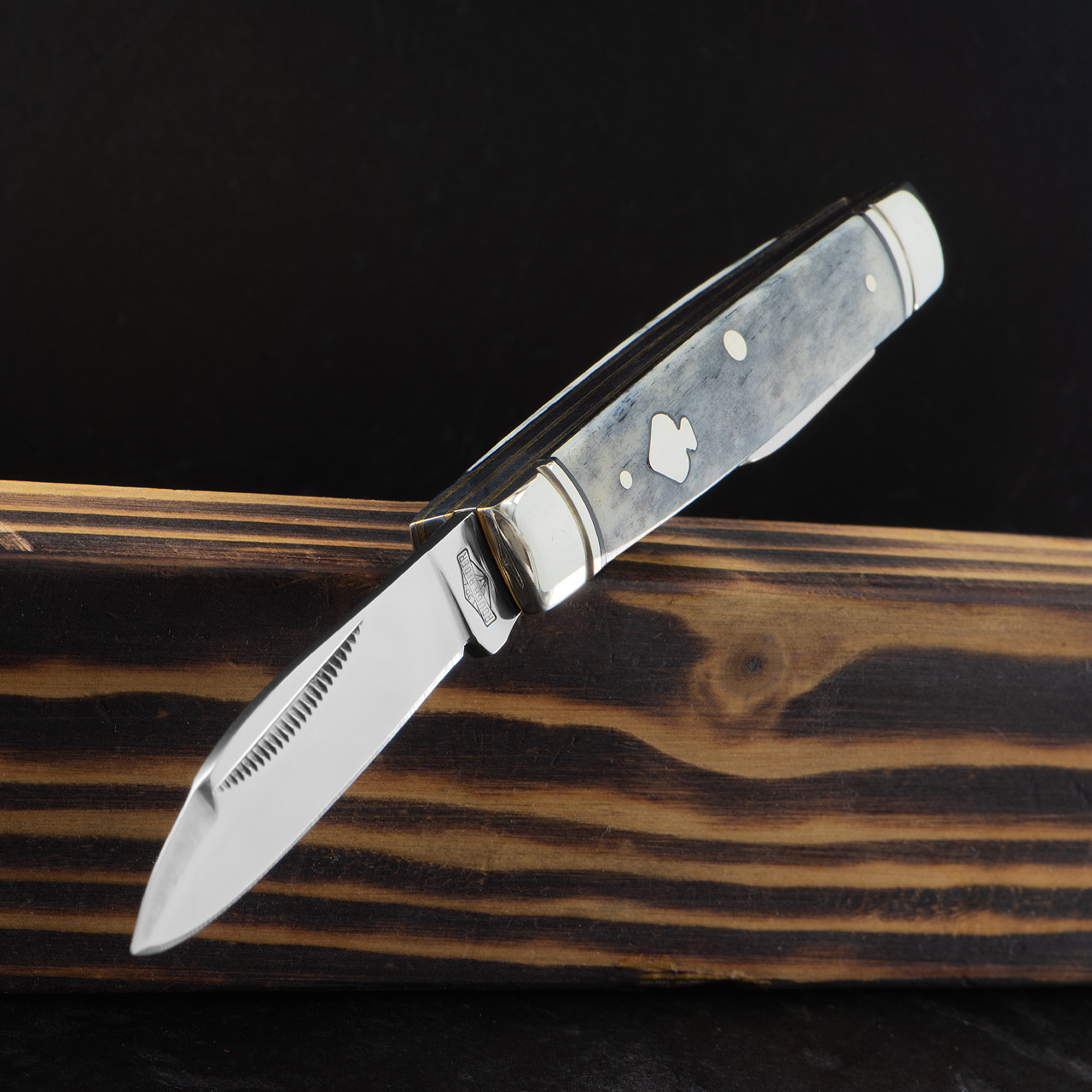 Rough Rider Black Appaloosa Capital Intern Folding Knife | Heinnie