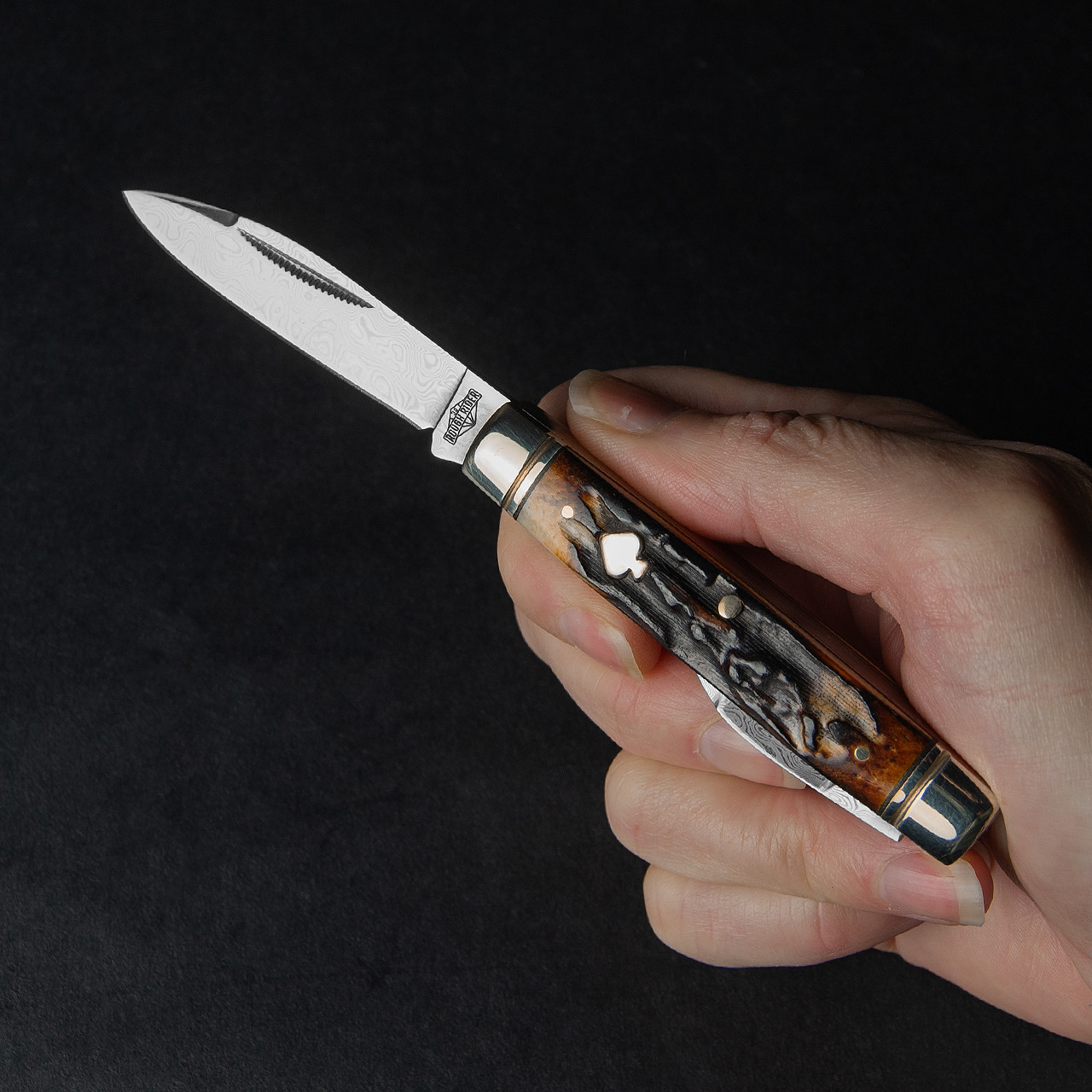Rough Rider Capitol Intern Cinnamon Bone Damascus Folding Knife