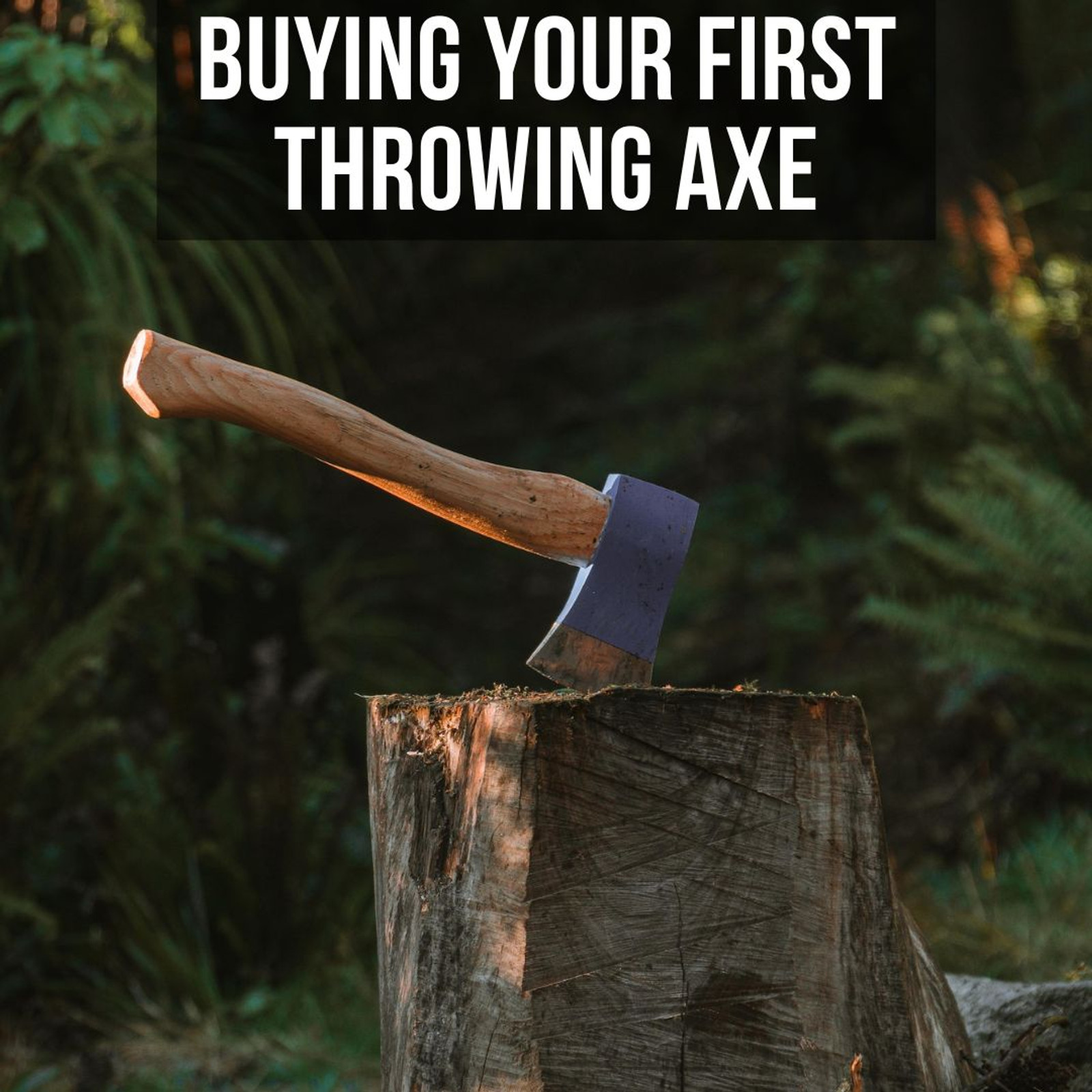 Buying Your First Throwing Axe Heinnie Haynes