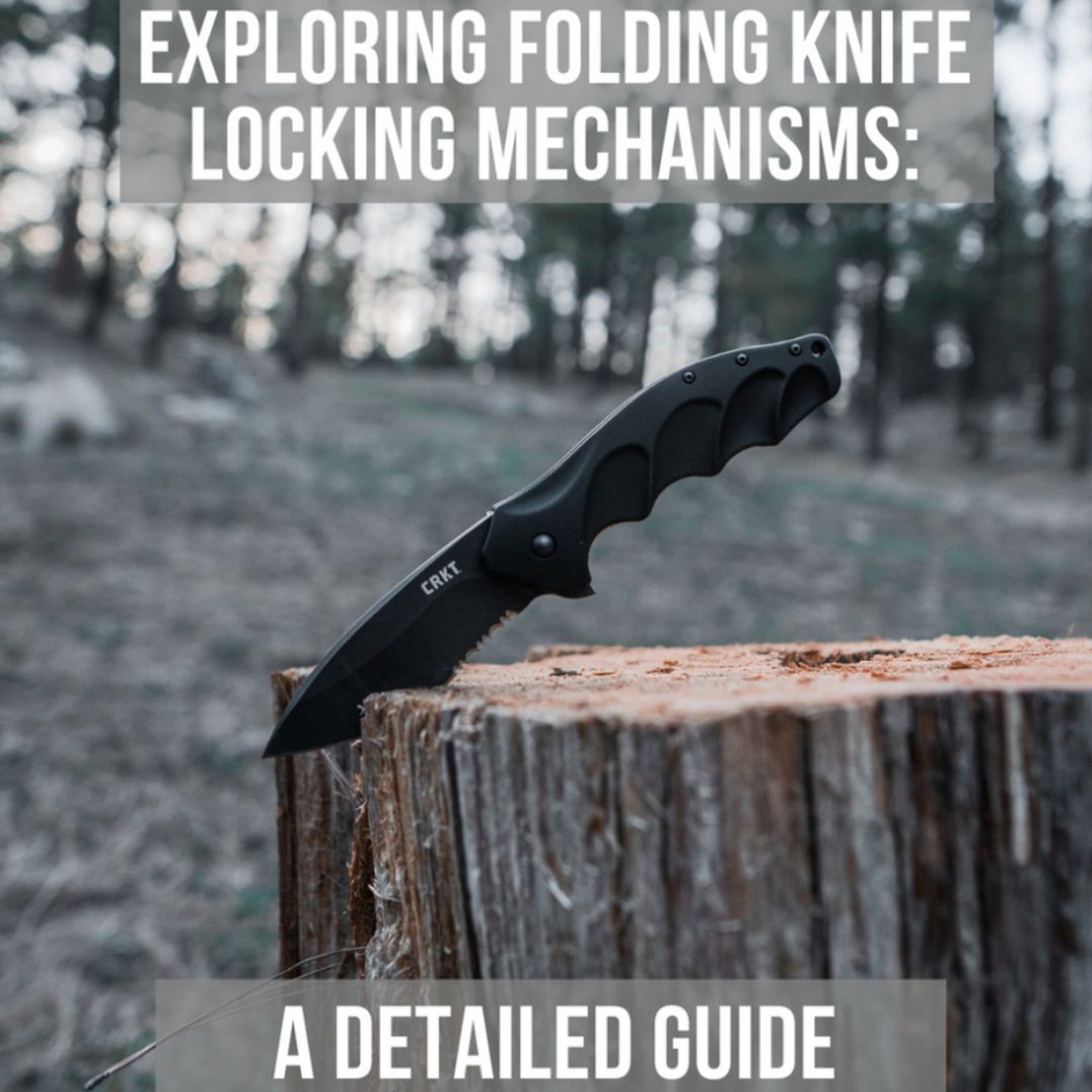 Exploring Folding Knife Locking Mechanisms A Detailed Guide Heinnie