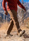 5.11 Apex Trousers