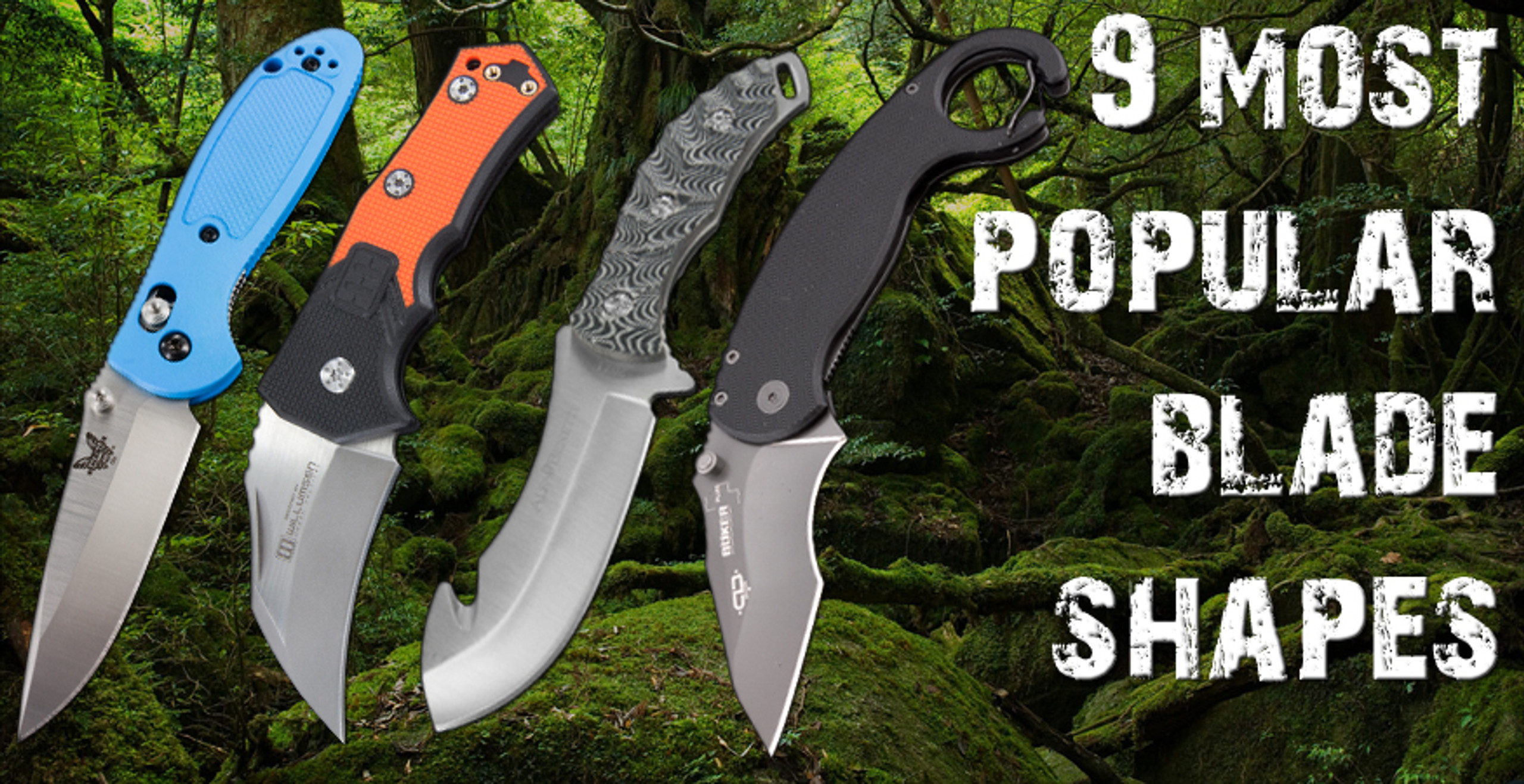 The 9 Most Popular Blade Shapes Heinnie Haynes