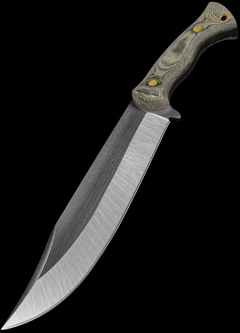 Condor Plan A Bowie