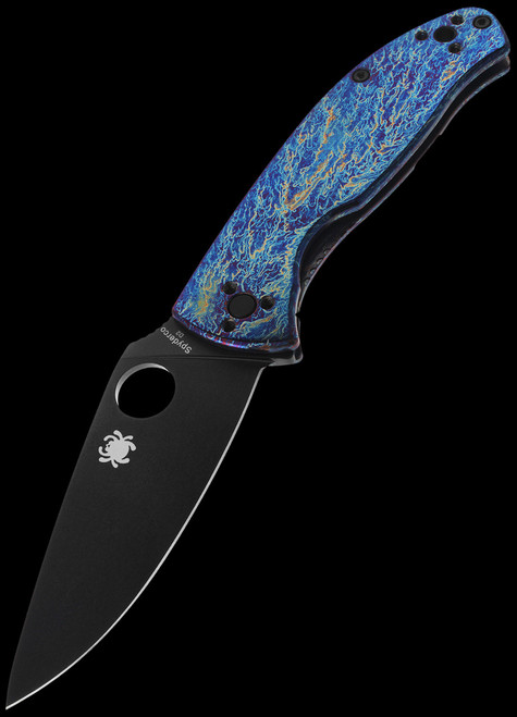 Spyderco Tenacious Titanium Folding Knife