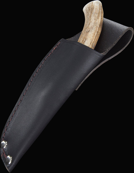 Arthur Wright Stag Fixed Blade