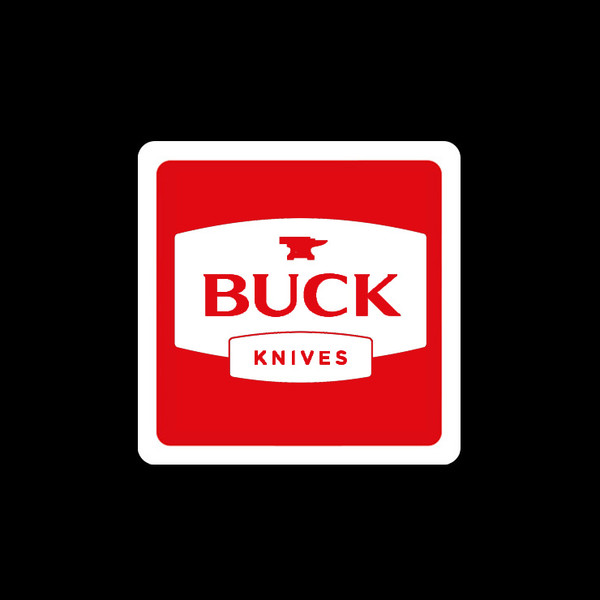 Buck Bravo. 5" closed linerlock - Grade A