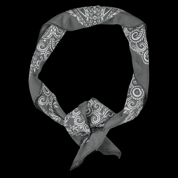 PDW Paisley Mythosaur Bandana