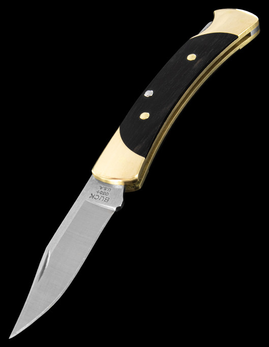 Buck Folding Hunter 55