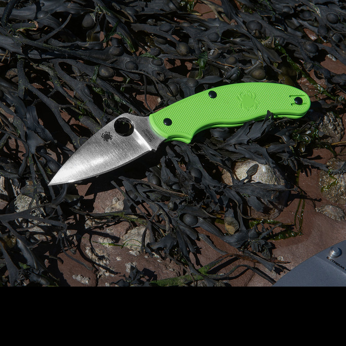 Spyderco UK Penknife Salt