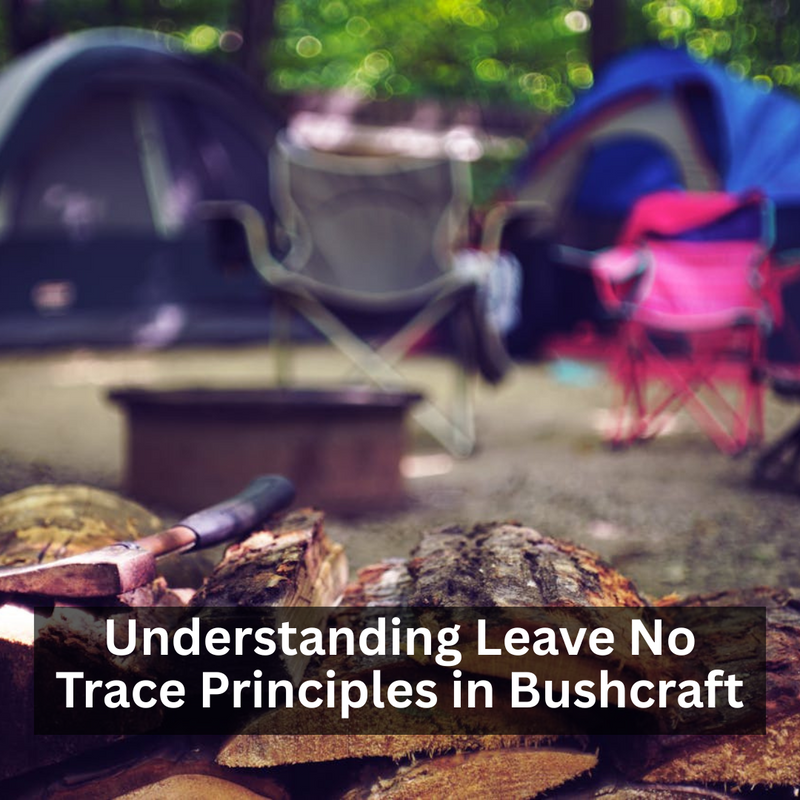 Understanding Leave No Trace Principles in Bushcraft