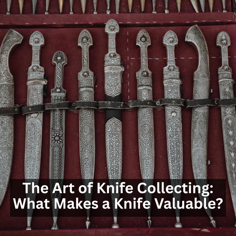 The Art of Knife Collecting: What Makes a Knife Valuable?
