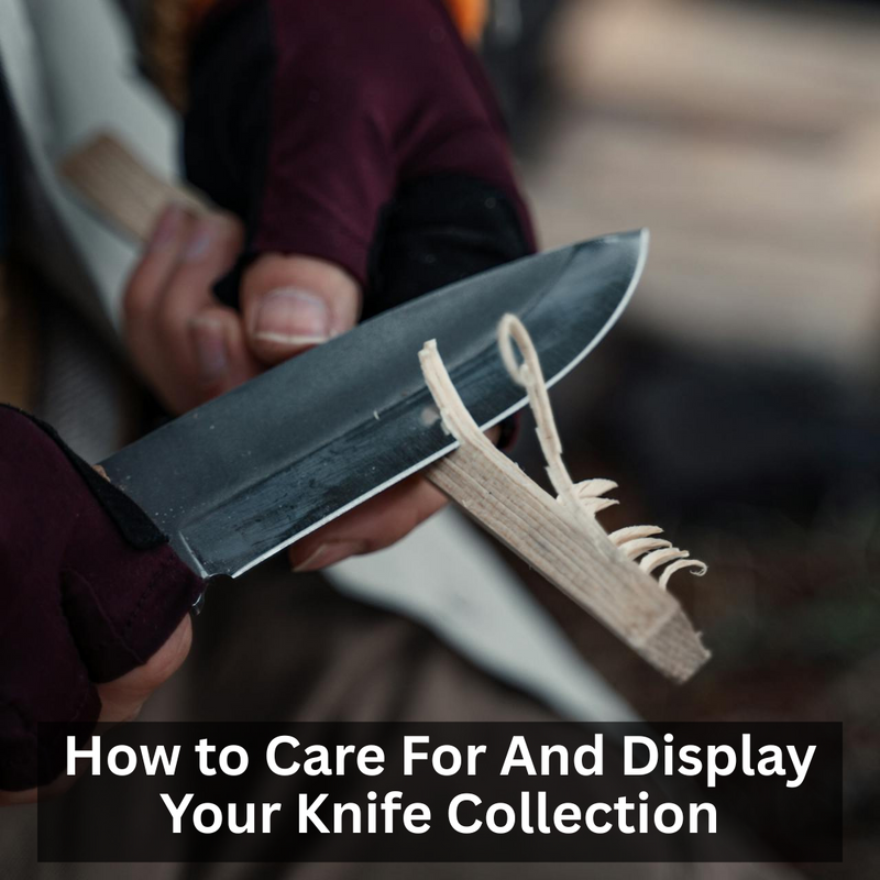 How to Care For And Display Your Knife Collection