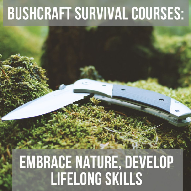 Bushcraft Survival Courses: Embrace Nature, Develop Lifelong