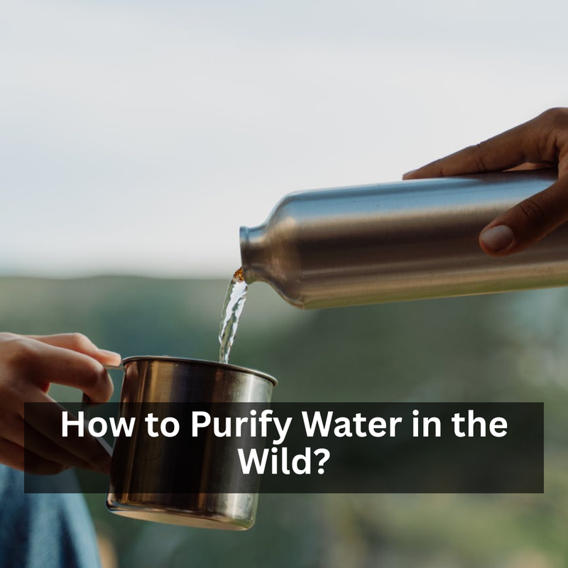 How to Purify Water in the Wild?