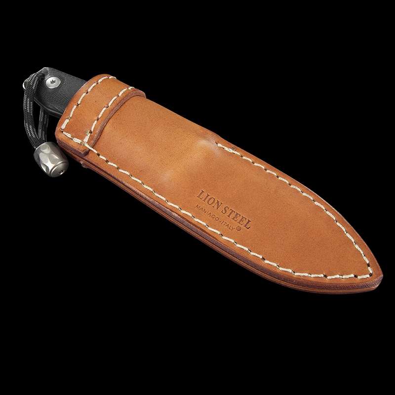 Lion Steel M1 G10