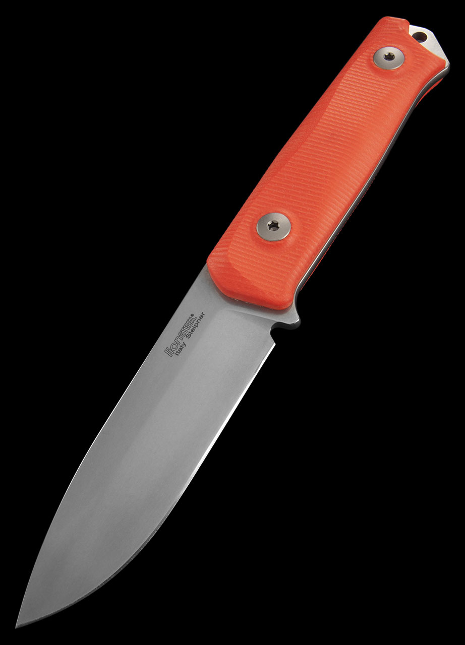LionSteel B41 G10