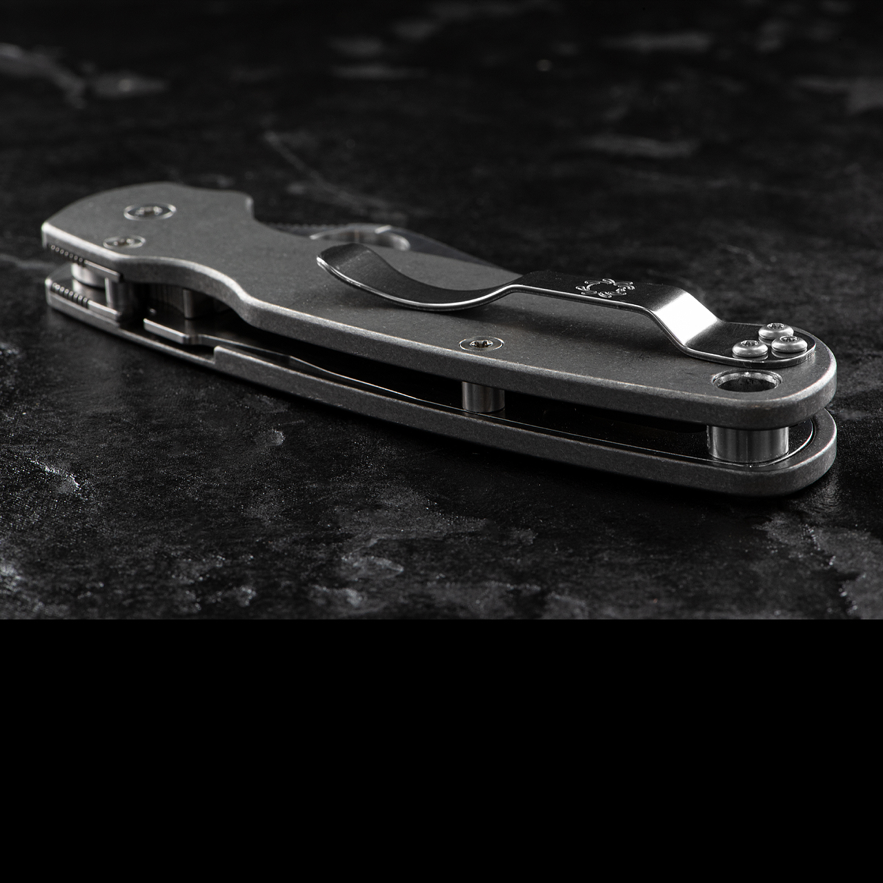 Titech Spyderco Para Military 2 Stone Washed Titanium Scales