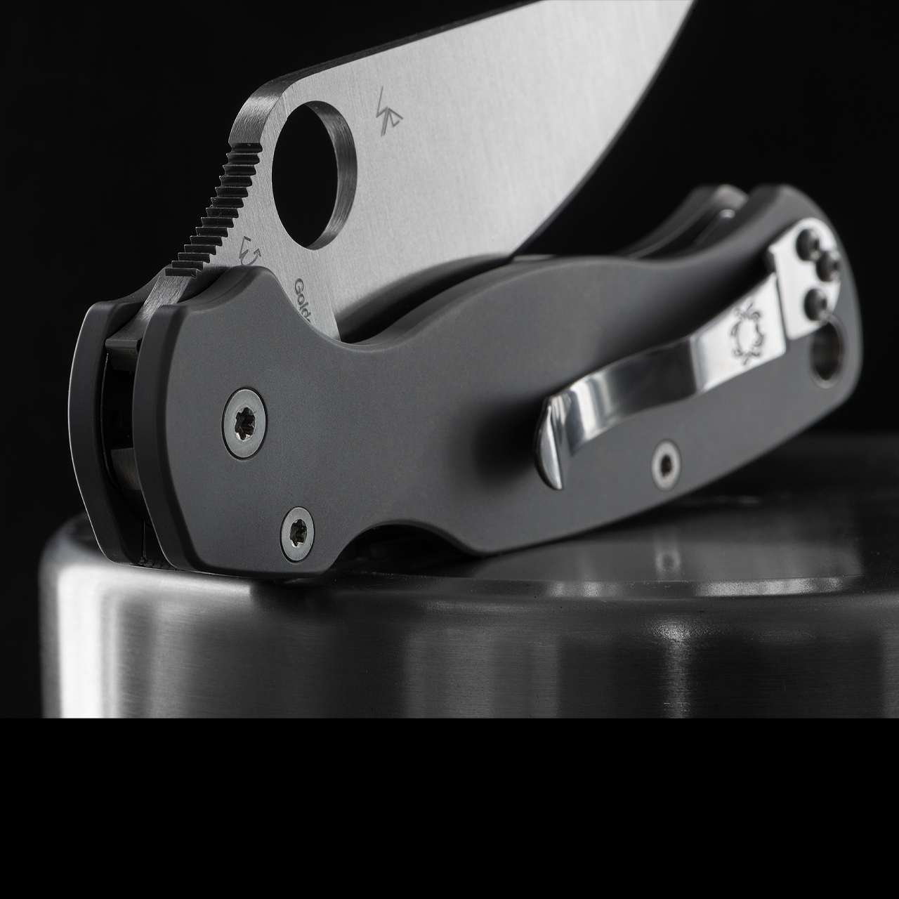 Titech Titanium Scales for Para Military 2