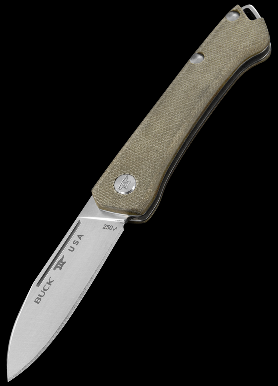 Buck Saunter Folding Knife