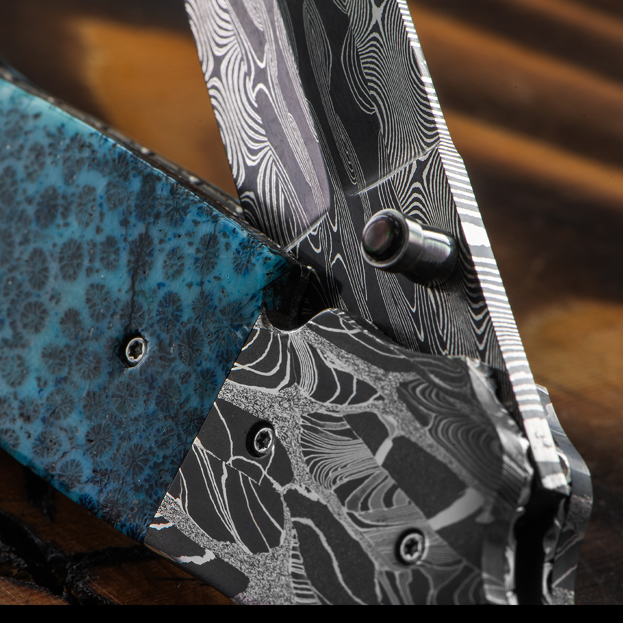 David Steier Aqua Brain Coral Custom Knife
