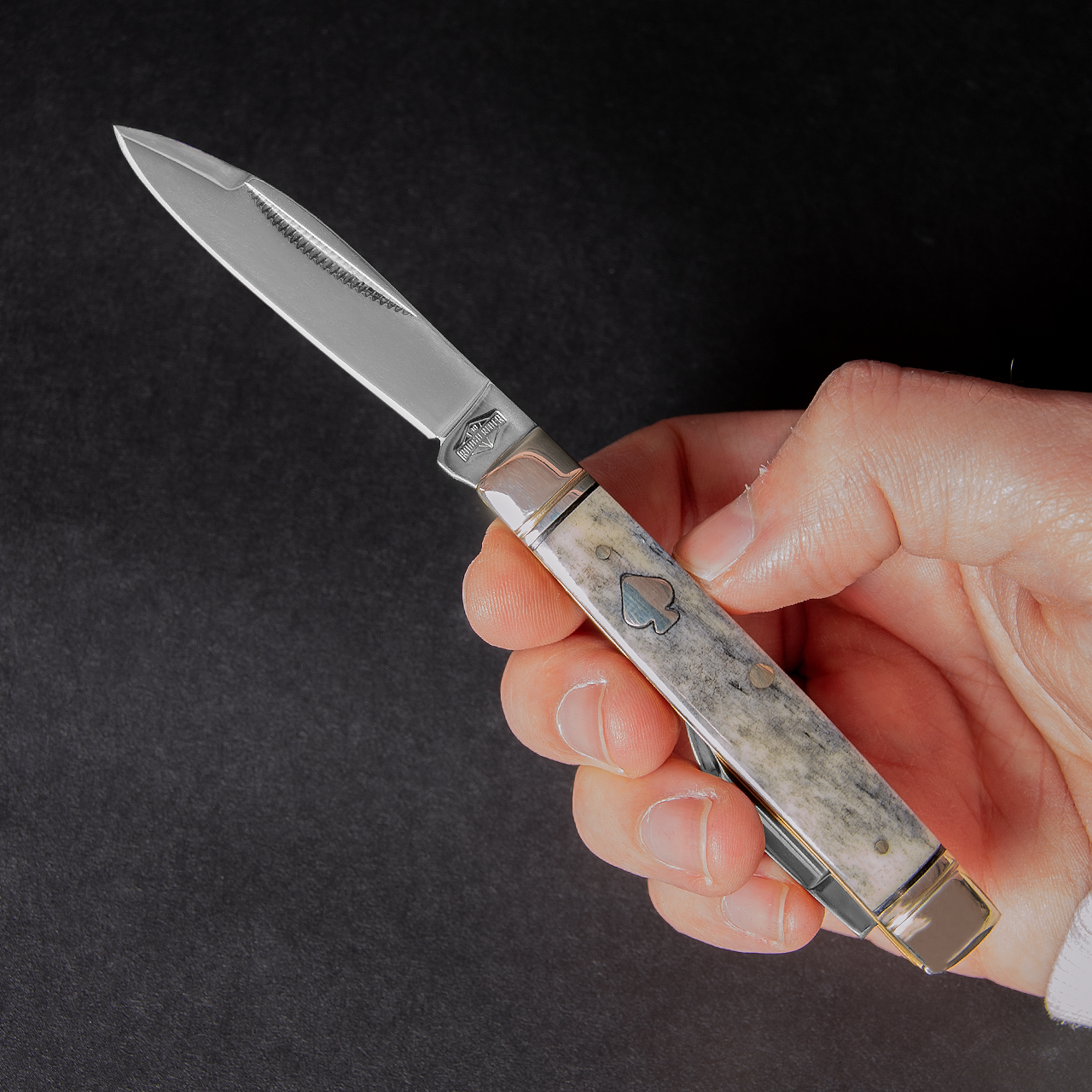 Rough Rider Black Appaloosa Capital Intern Folding Knife | Heinnie