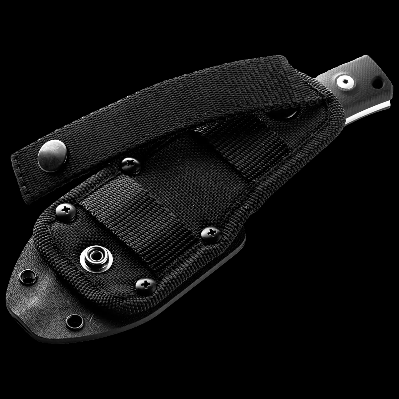 LionSteel Kydex Sheath M4