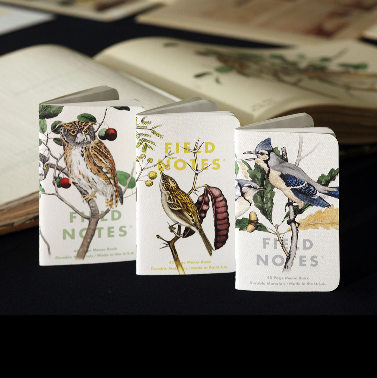 Field Notes Birds & Trees of North America Series A