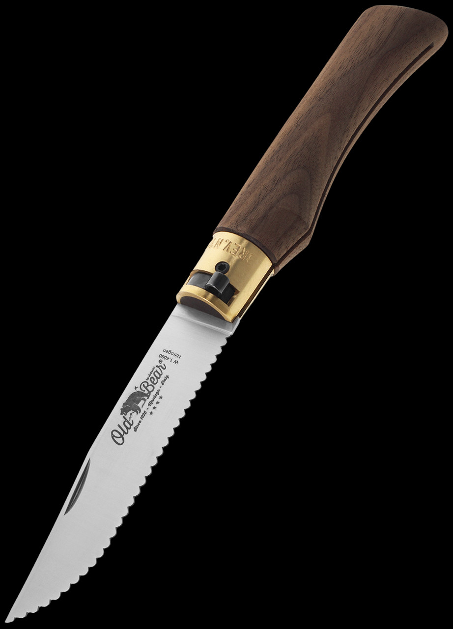 Antonini Old Bear Walnut Serrated Folding Knife XL