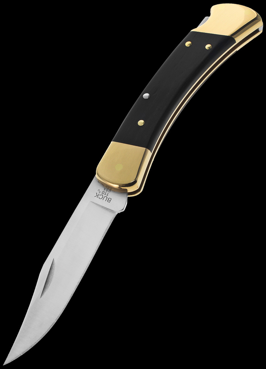 Buck 110 Hunter Folding Knife with Nylon Sheath