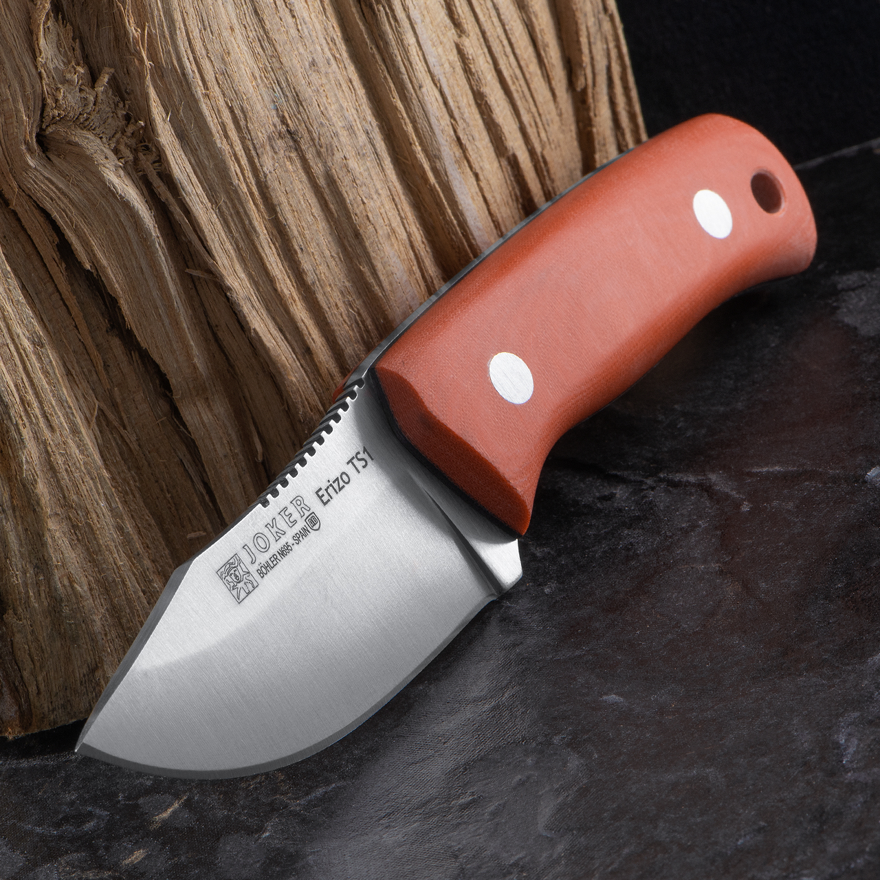 Joker Bushcraft Messer Erizo CB75, Bocote Holzgriff – 7,5 Cm MOVA Klinge, Mit Lederscheide