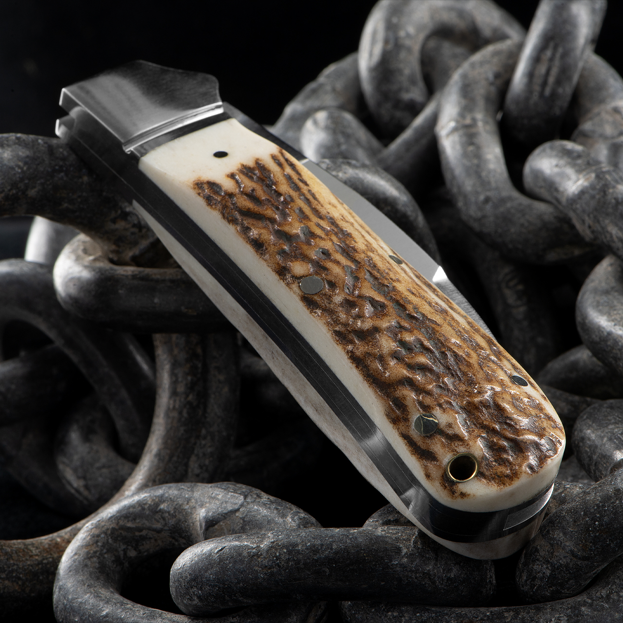 RoseCraft Clinch River Swayback Stag Folding Knife