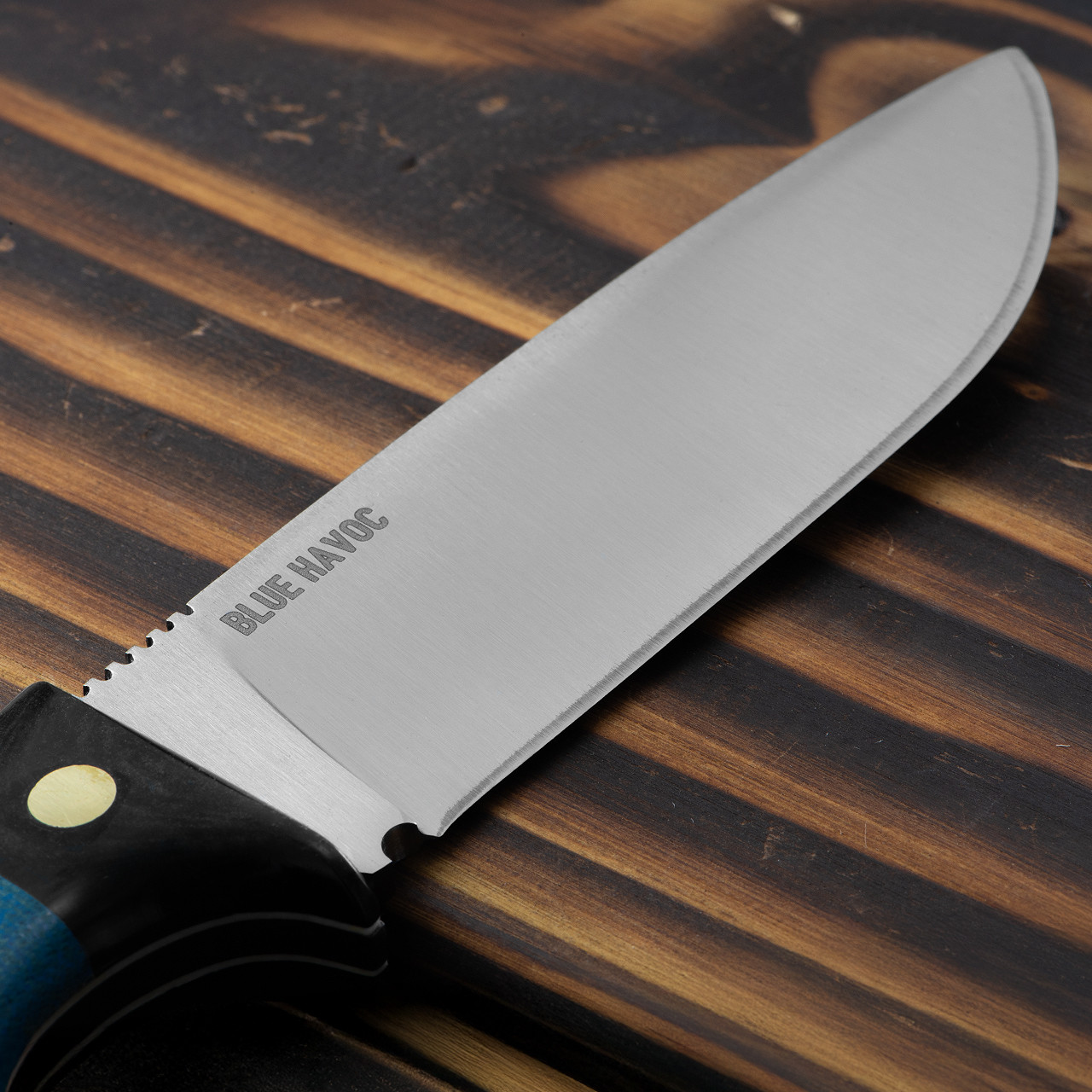 Condor Blue Havoc Fixed Blade