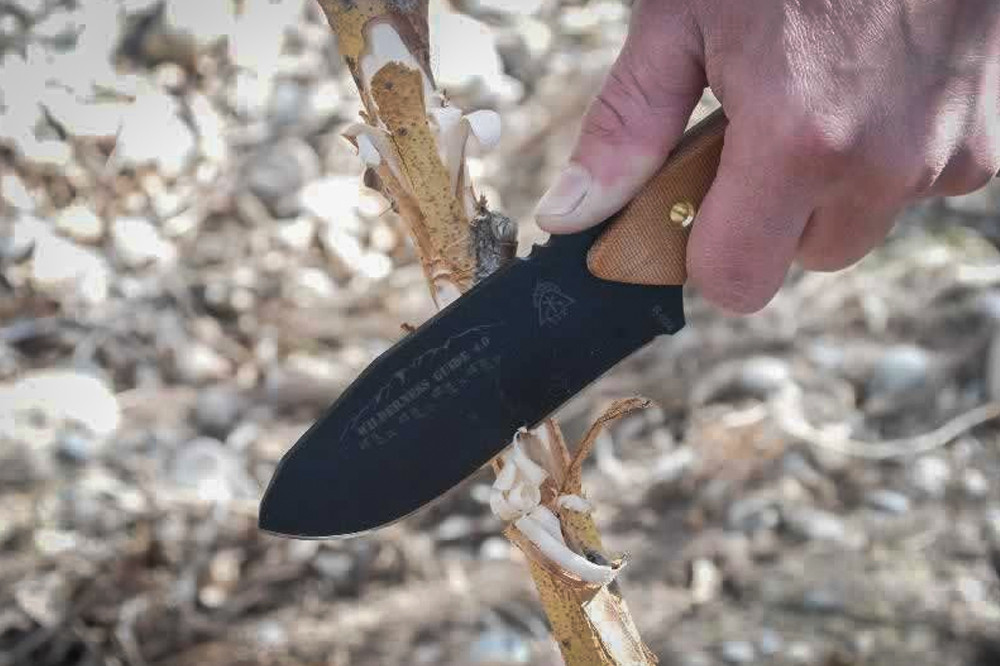 Tops Wilderness Guide 4.0 Fixed Blade