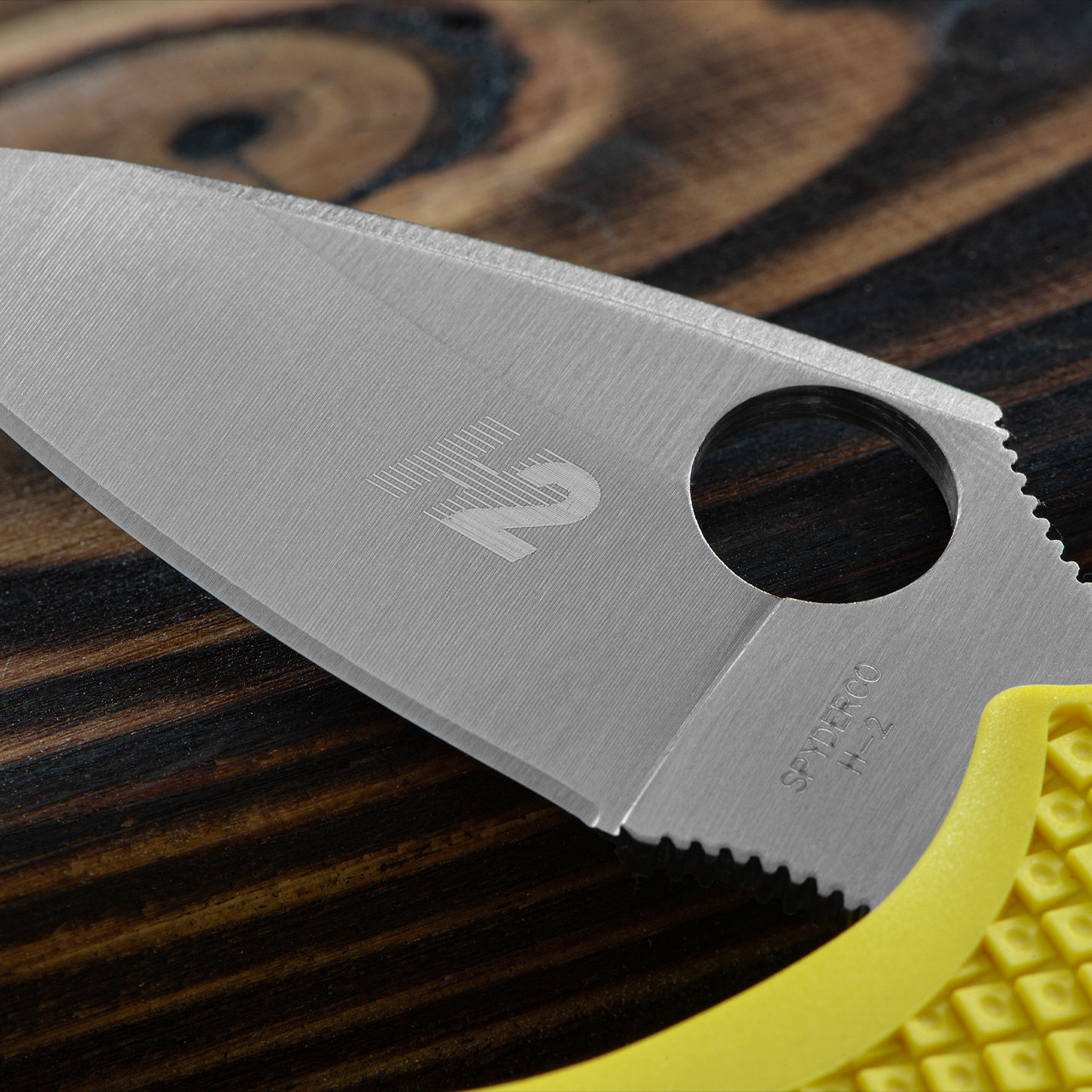 Spyderco Dragonfly 2 Salt